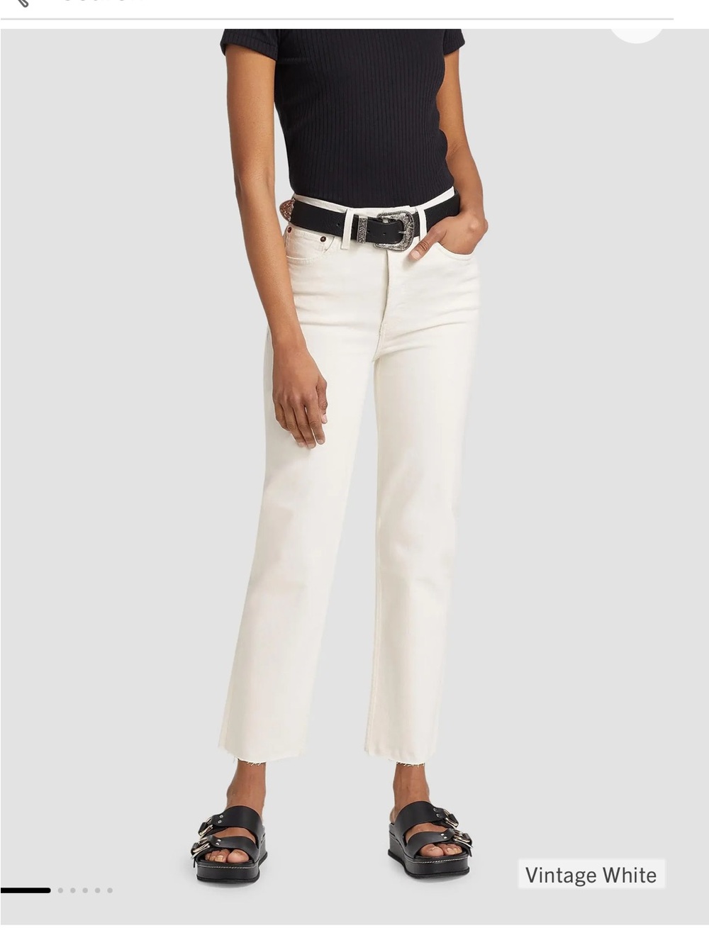 Re/Done 70s Stove Pipe Straight Jeans